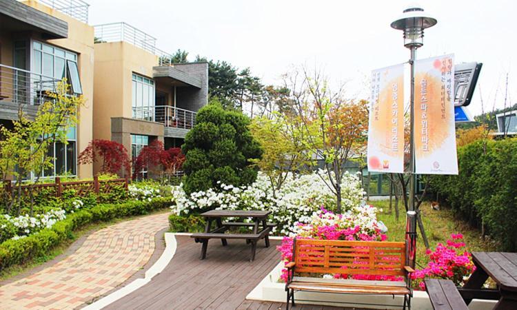 Yeongjong Sky Resort Incheon Exterior photo